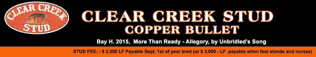 Clear Creek: Copper Bullet