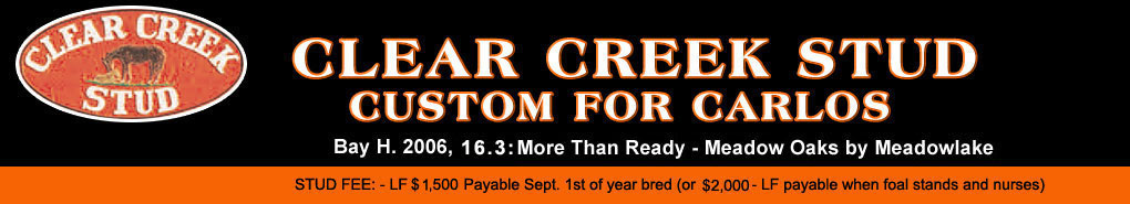 Clear Creek: Custom for Carlos