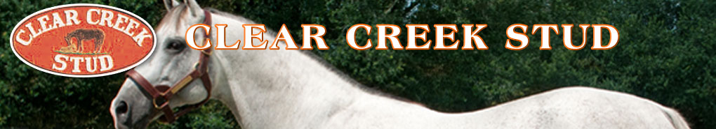 Clear Creek: Custom for Carlos